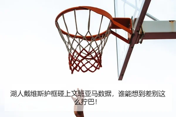 湖人戴维斯护框碰上文班亚马数据，谁能想到差别这么拧巴！
