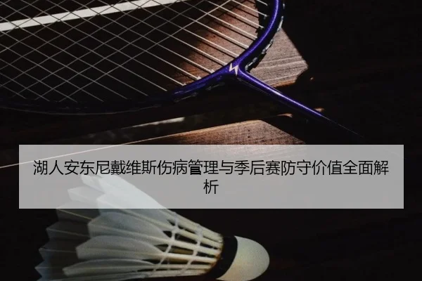 湖人安东尼戴维斯伤病管理与季后赛防守价值全面解析